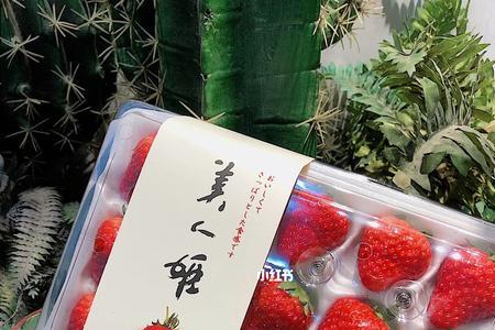 丹红草莓为什么那么贵