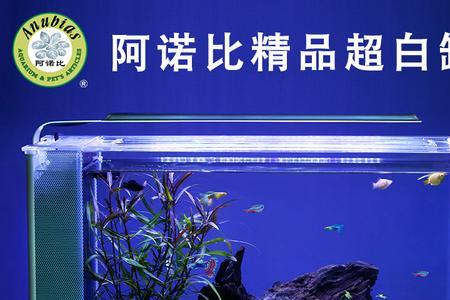 鱼缸玻璃10毫米和12毫米那个好