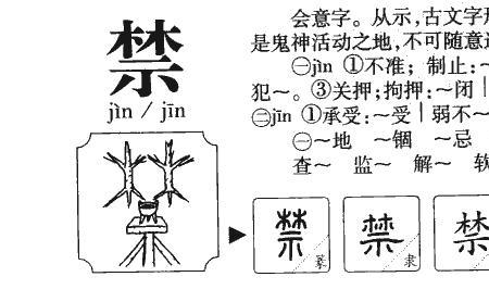 匝字是什么意思