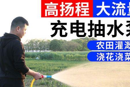 在井里抽水浇菜好吗