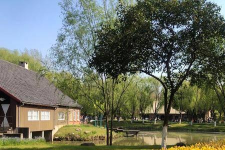 听见初夏的声音谐音