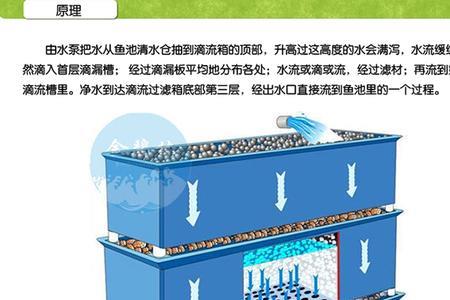 滴流盒还需要氧气泵吗