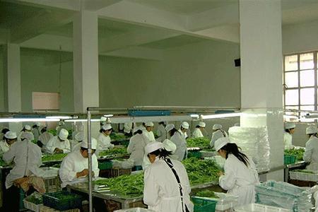 农产品加工厂用地如何审批