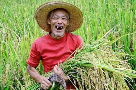年年种庄稼下一句