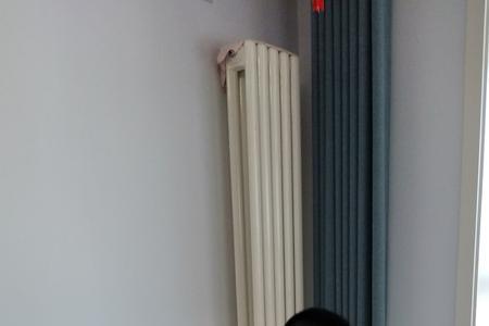 女婿回门喝酒规矩