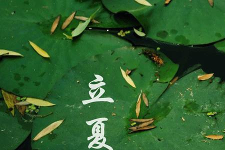 2005年立夏是什么星座