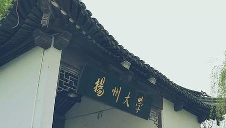 扬大为什么叫综合性大学