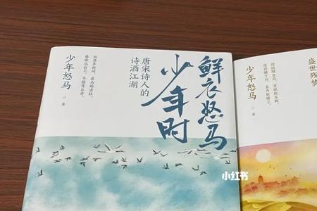 鲜衣怒马少年时下一句是什么