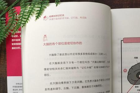 记忆力强是不是特长