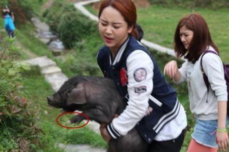 不如回农村的上一句