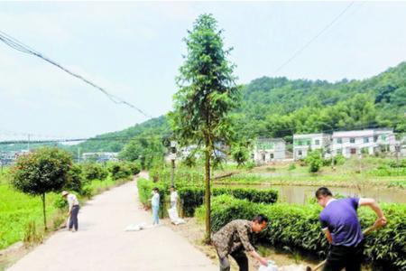 村民可以随便向村道倒污水吗