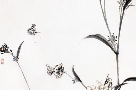 万花油的作者是谁