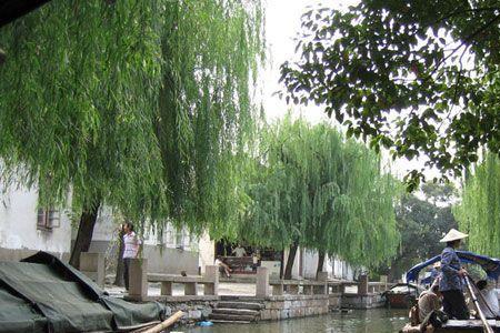 江苏一年四季什么风刮得最多