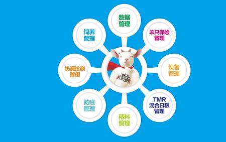 养羊的十大商业模式