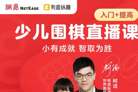 核桃围棋和有道围棋哪个好