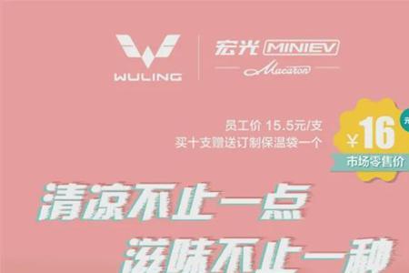 雪糕放车里一个小时化不了吧