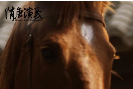 隋唐演义之开唐四将