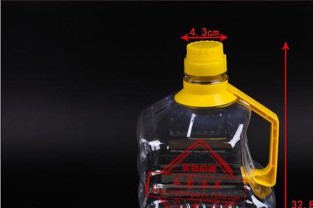 大的食用油壶怎么种植葡萄