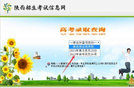 2020年高考考生号查询入口