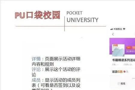 pu口袋校园的学分能买吗