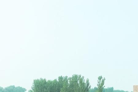 德州海岸线多长