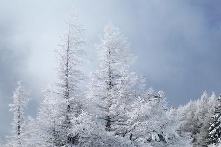 雪落地化成水的诗句