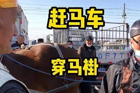 赶马车的口令