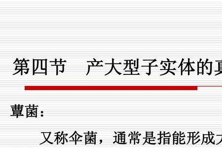 大型子实体是什么意思