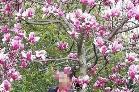 女友说想爬树是什么意思