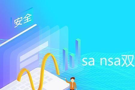 sa加nsa模式是什么意思