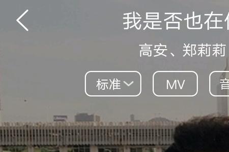 雾蒙蒙是哪首歌的歌词