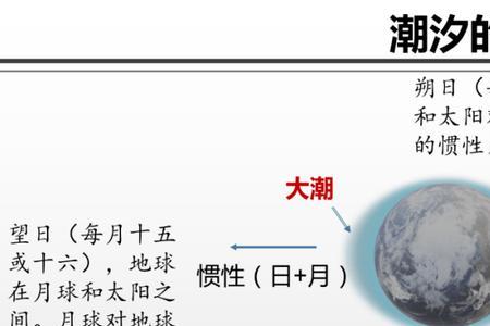 看潮汐最佳位置