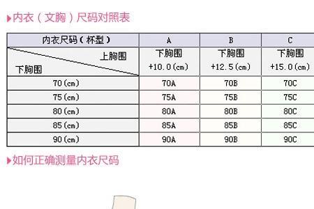 上胸围97下胸87是多少尺码