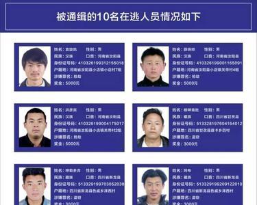 怎么查自己是不是网上逃犯