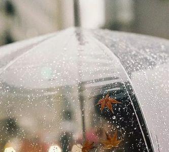 想成为一把伞遮风挡雨什么意思