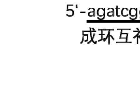 pcr引物序列怎么写