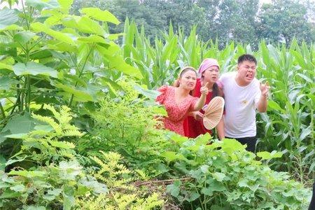 天高地厚哑巴媳妇结局