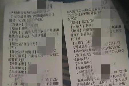 驾驶证替别人扣分罚款谁交
