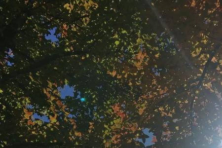 经过玻璃的阳光算强光吗