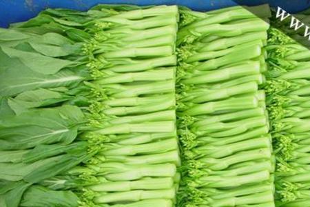 天青绿是什么菜