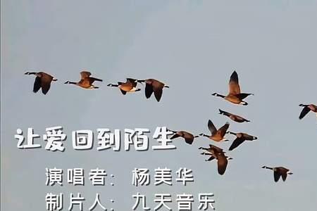 今年真的不容易原唱