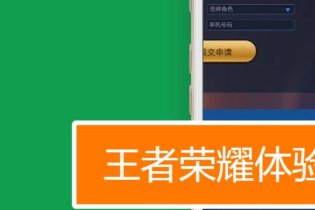 王者体验服和普通服可以玩么