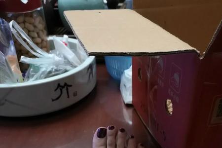 玄凤和牡丹哪个不爱叫