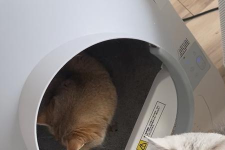 catlink猫砂盆故障灯亮