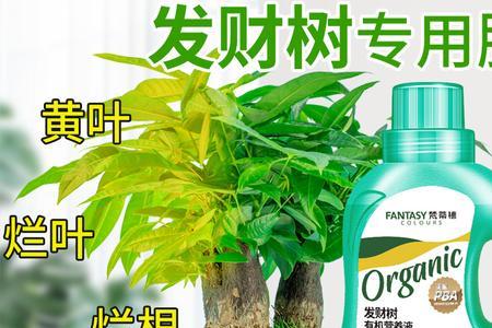 绿色的花肥是什么肥料