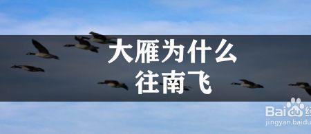 大雁东南飞是啥意思