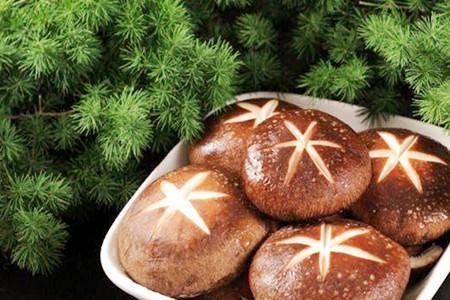 香菇放冰箱20天能吃吗