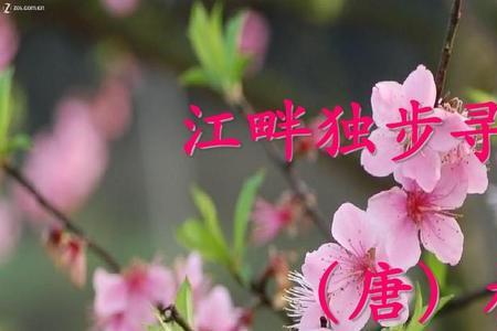 江畔独步寻花独步寻花唐刘禹锡。