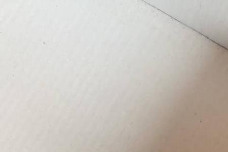麻雀幼鸟怎么排便