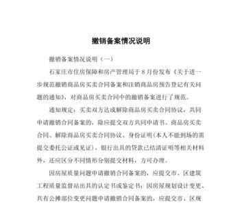 有销无进情况说明书怎么写